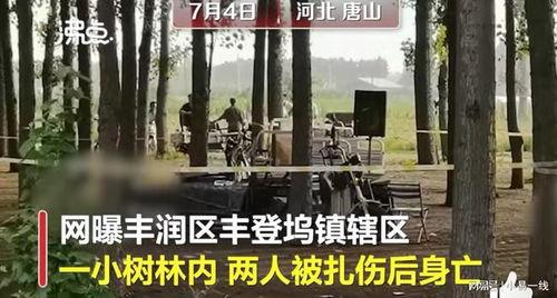 最近唐山爆料案件最新情况,真相逐步浮出水面 第1张 最近唐山爆料案件最新情况,真相逐步浮出水面 第1张